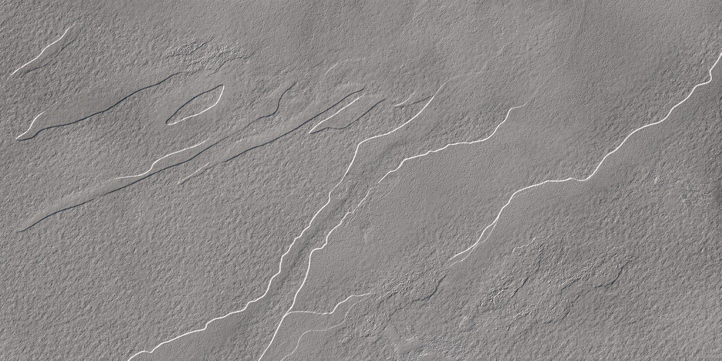 FOSSIL SLATE