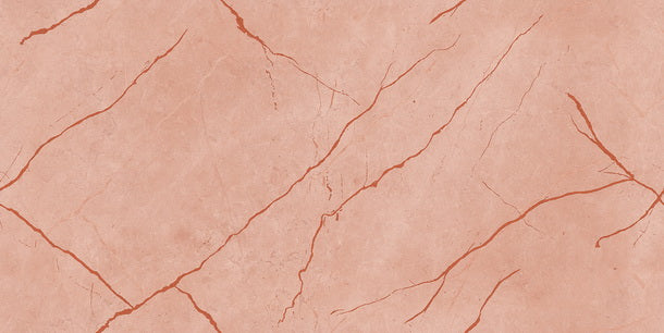 RIZ PINK