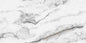 ARMONIOS WHITE