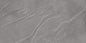 FOSSIL SLATE