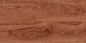 HICKORY PECAN